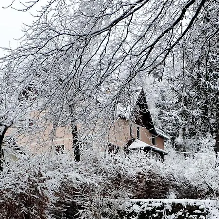 Lejlighed Slowackiego *